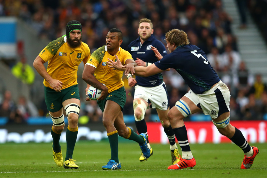 Wallabies