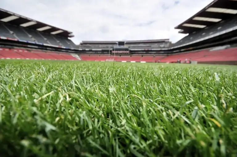 Lions vs Pumas Currie Cup preview: Confirmed lineups